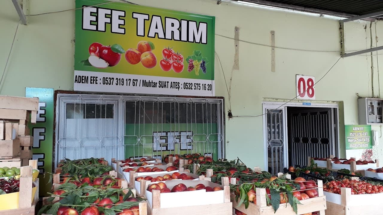 Elbeyli Toptancı Hali