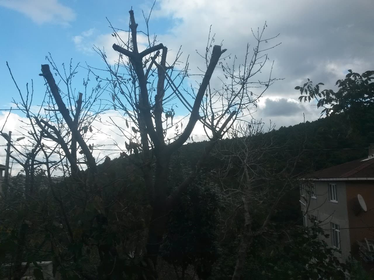 Basketbol Sahası 4