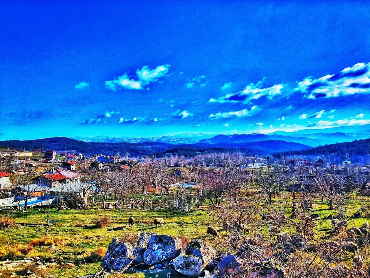 Dursunbey Belediyesi 5