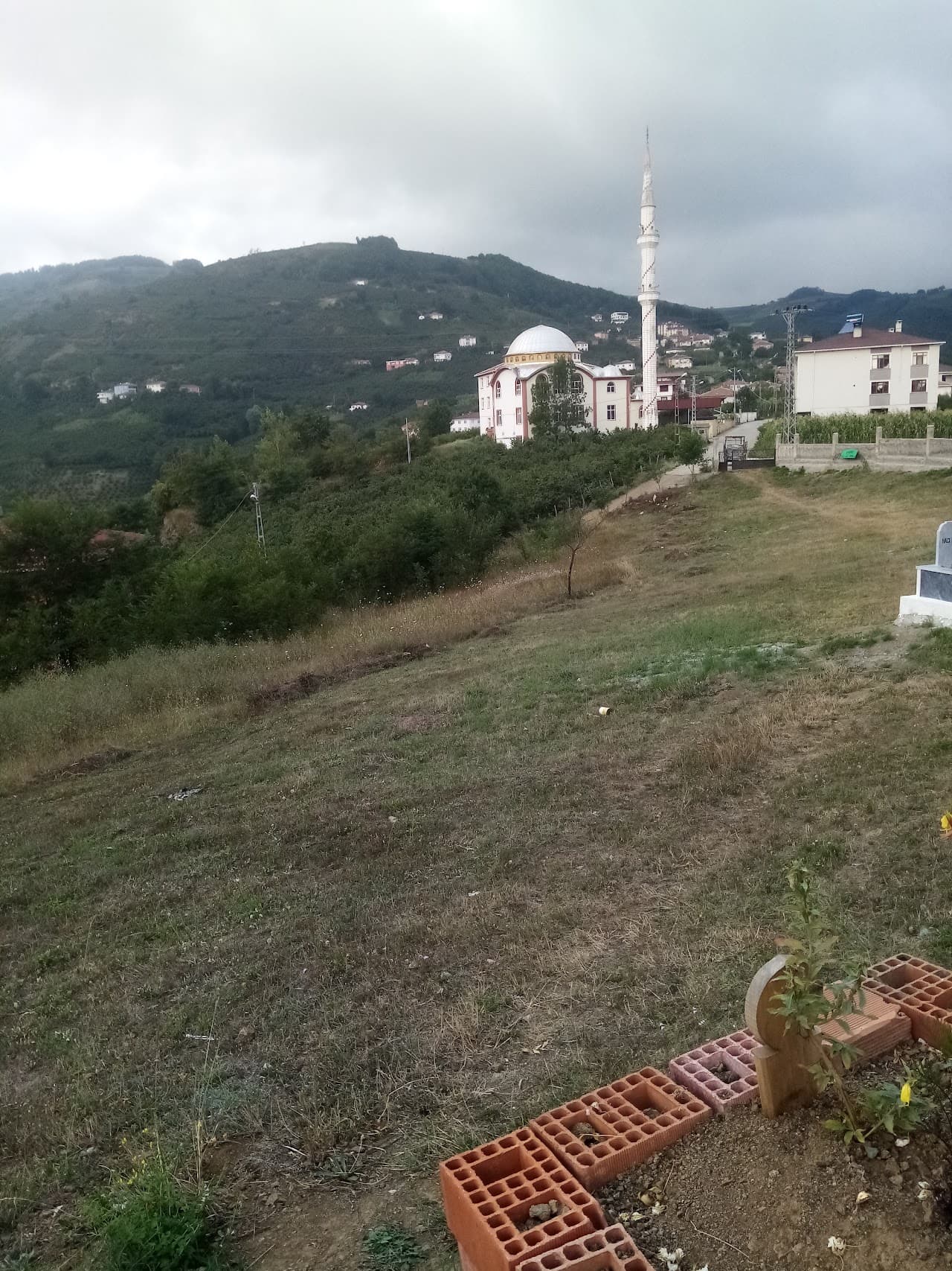 Çarşıköy mahalle Muhtarlığı 3