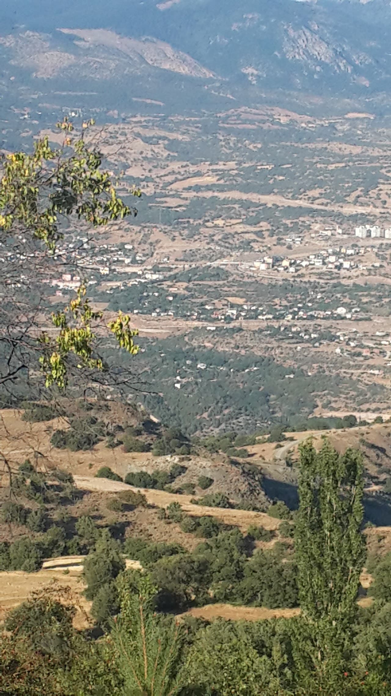 Halı Saha (4) 2