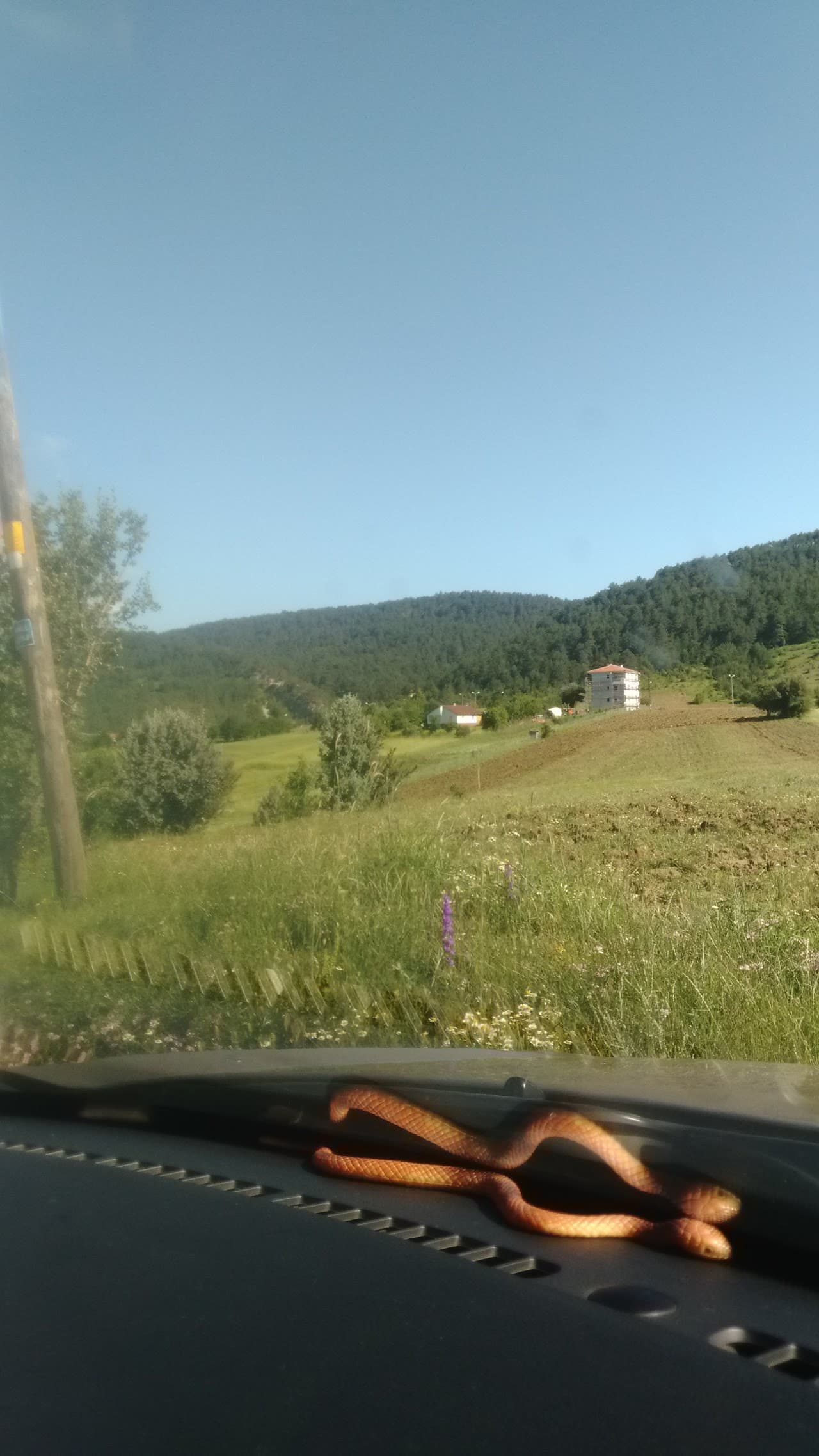 Halı Saha (4) 2