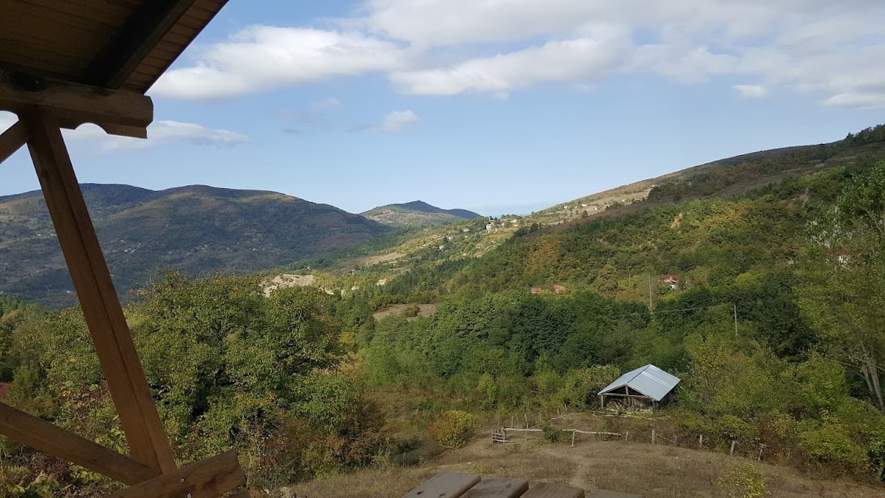 green halı saha ve cafe 2