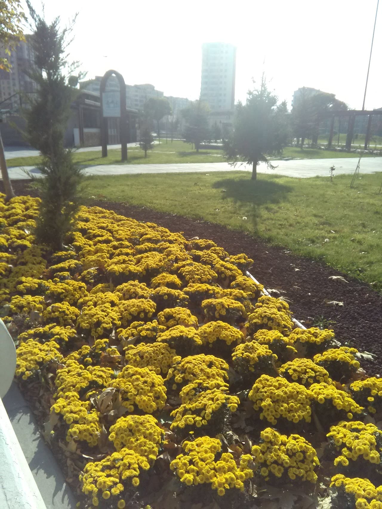 Halı Saha (3) 4