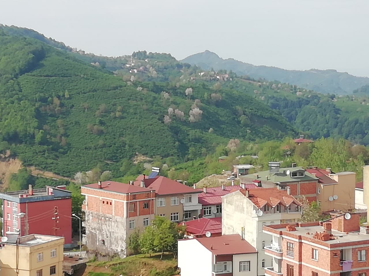 Çaybaşı Halı Saha 5