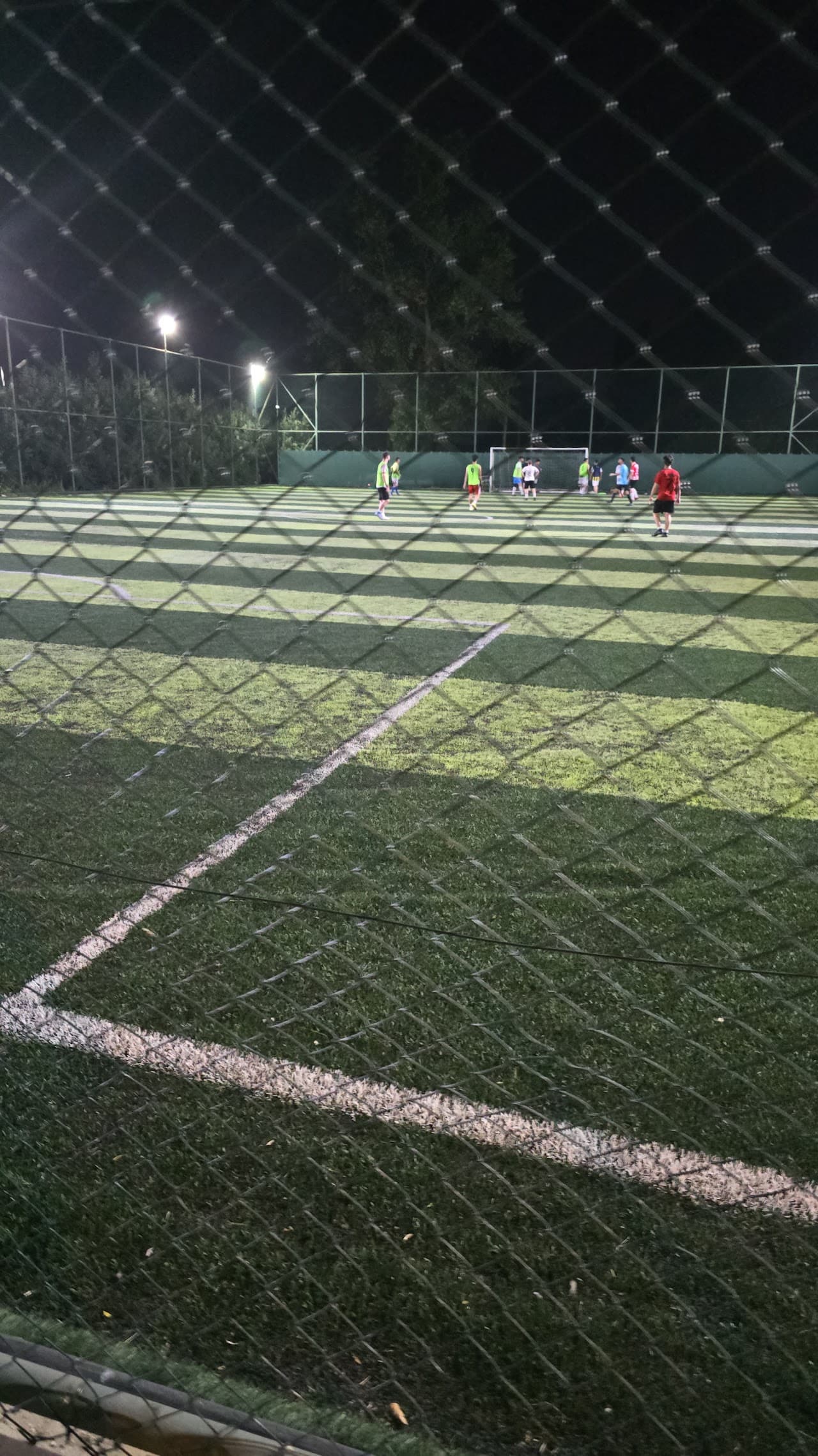 Çeltik spor halı sahası