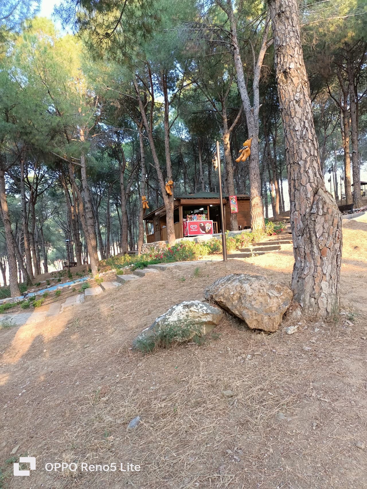 Delez Yaşam Vadisi 2