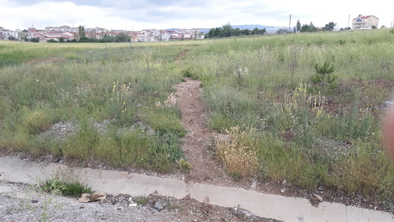 Mamak Belediyesi Spor Kompleksi Ve Dinlenme Alanı 5