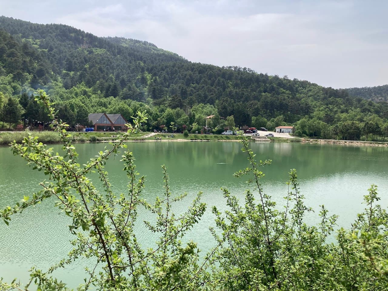 Laçin Yeşilgöl Şelalesi