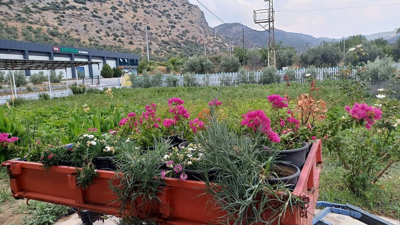 Ayasuluk Halı Saha ve Restaurant 5
