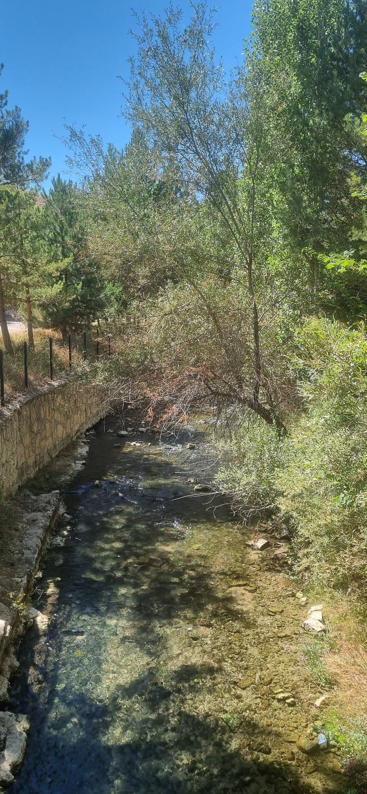 Kaplıca Halı Saha