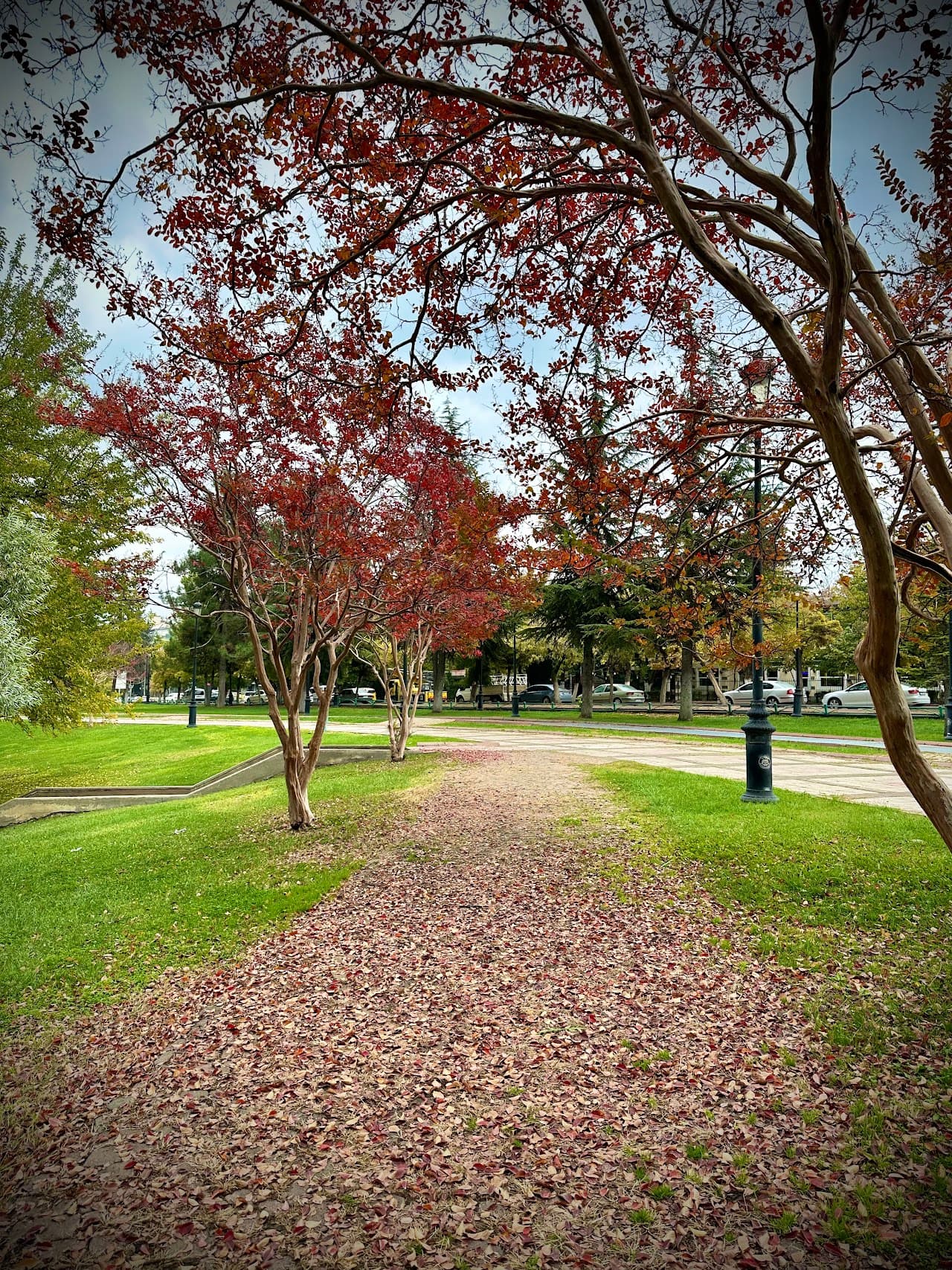 Kavaklık Parkı