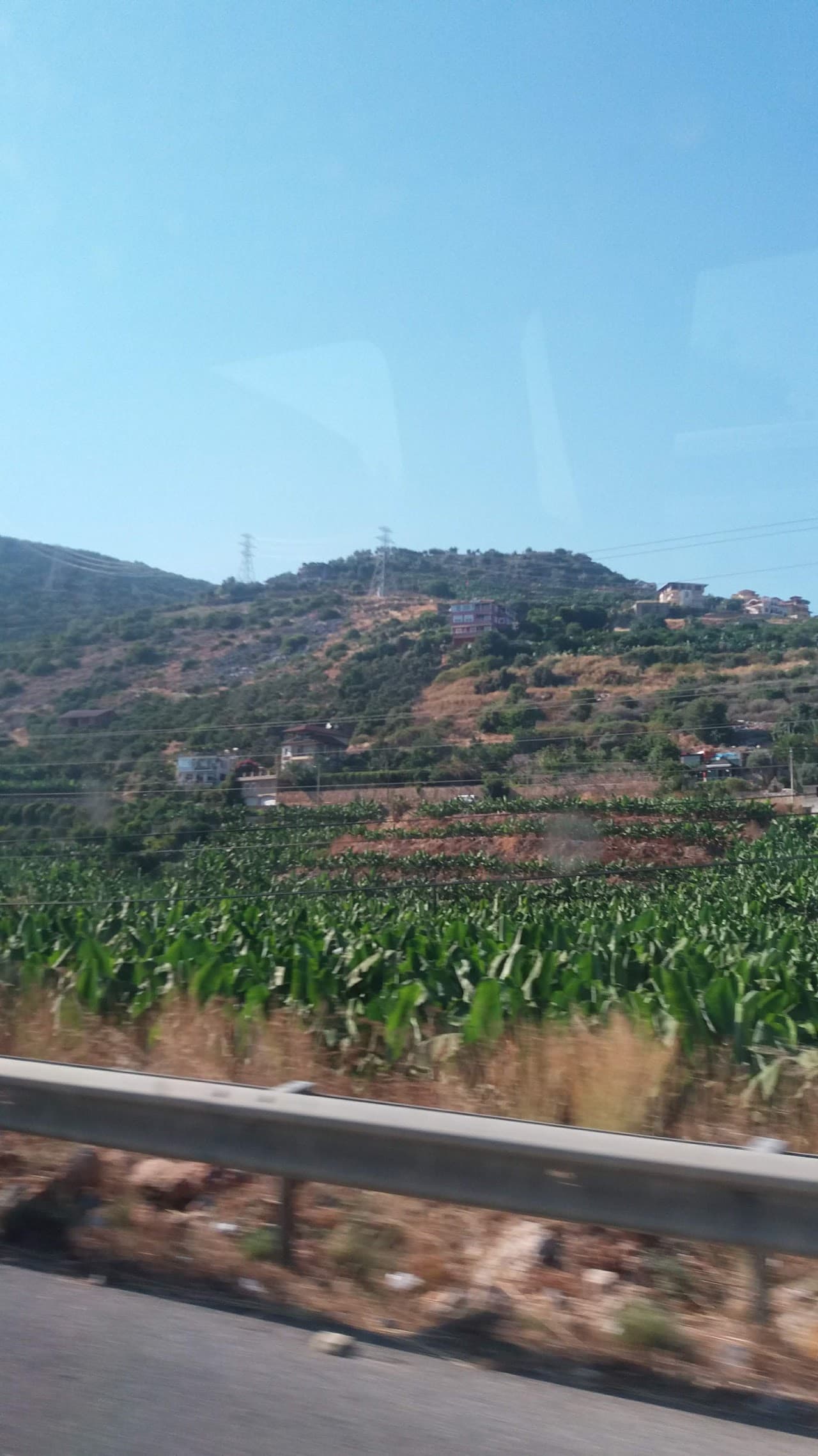 Özkan Çim Halı Saha Tesisleri 3