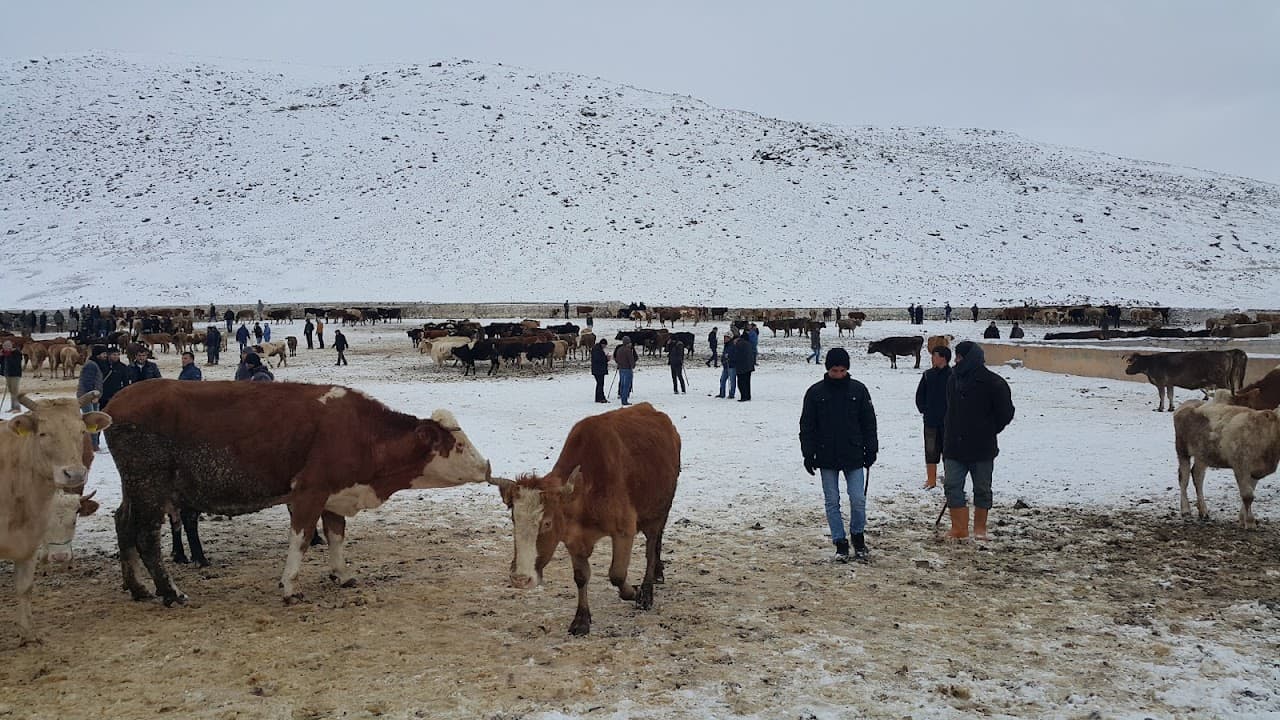 Yıldızlar Halı Saha