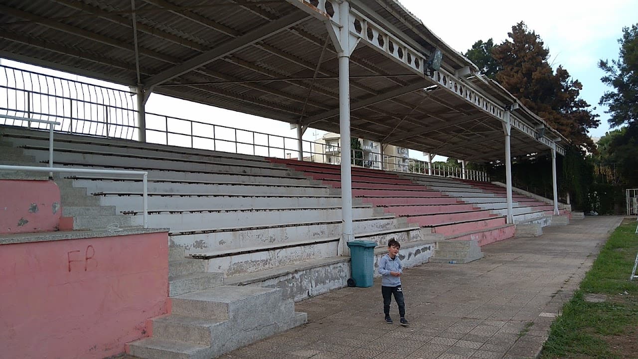 Petkim Stadyumu 3