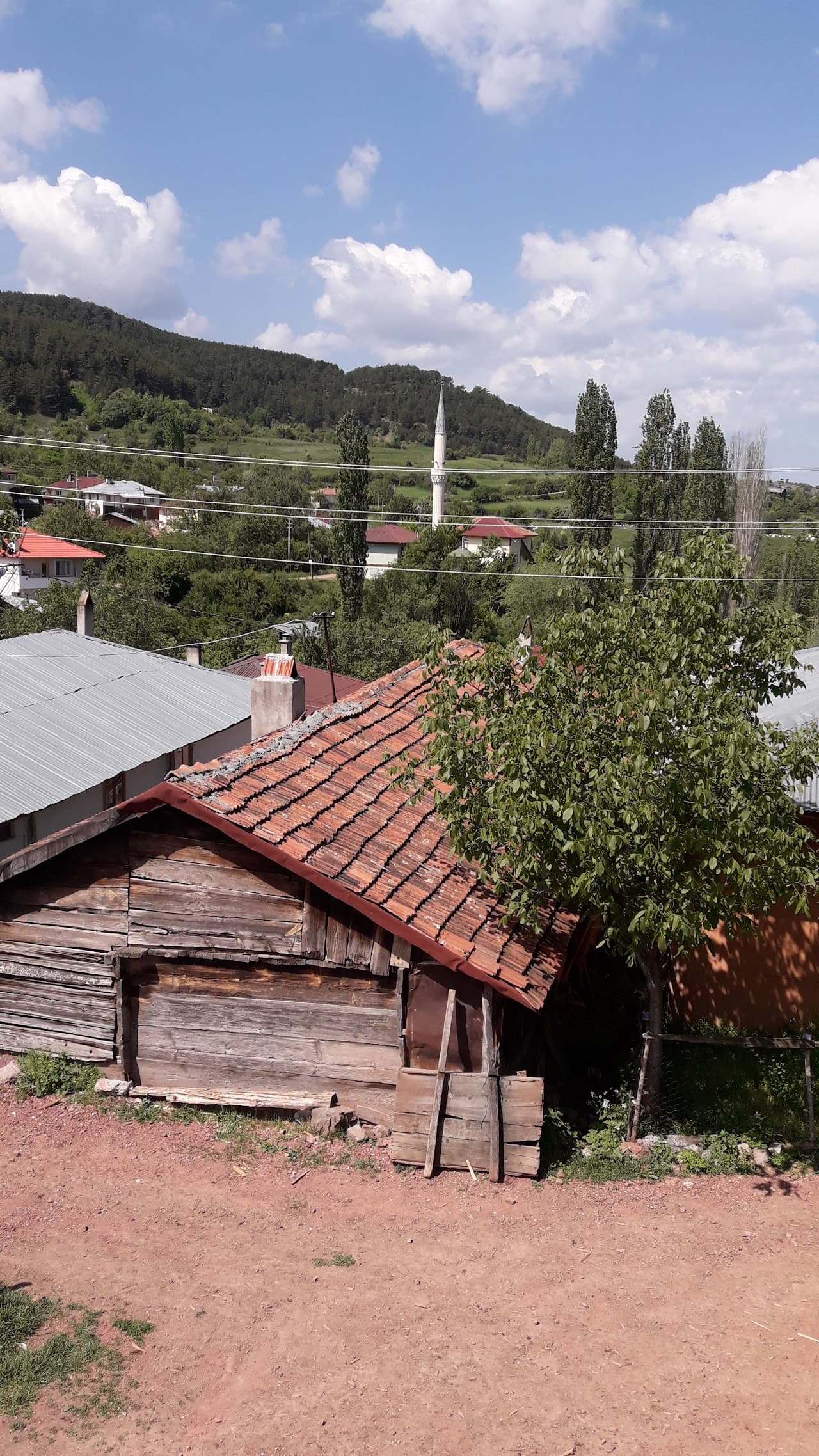 Halı Saha (8) 4