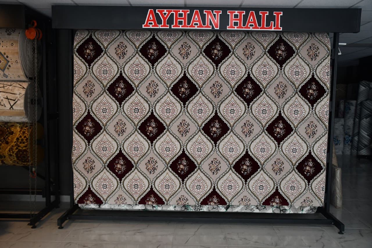AYHAN HALI