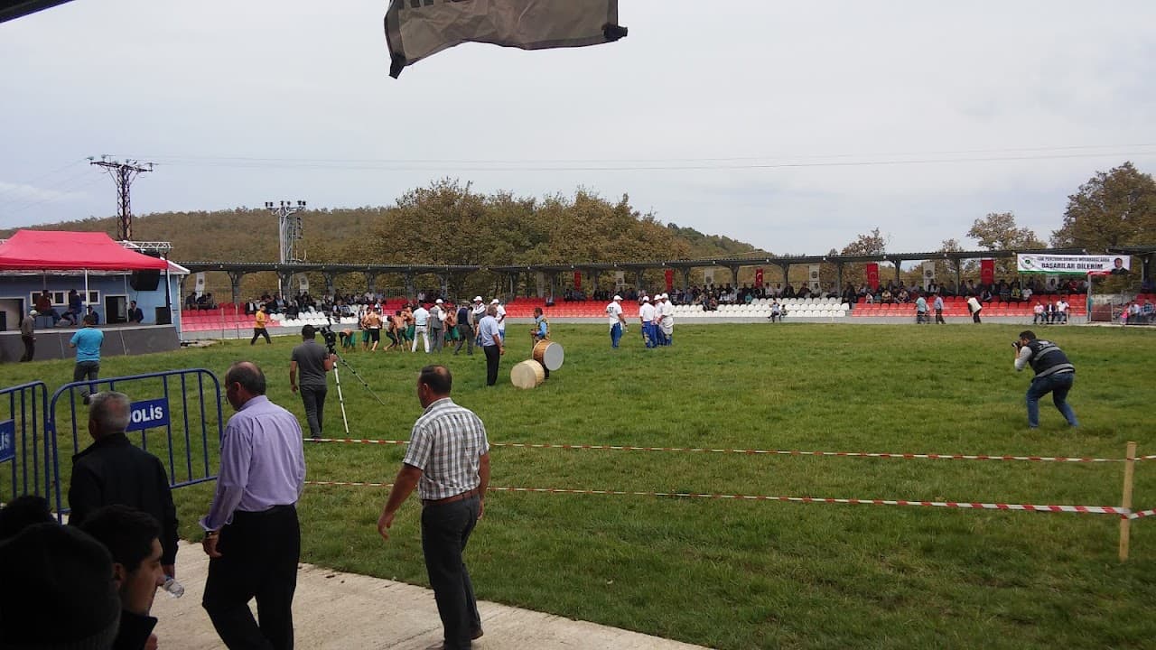 Asarcık Güreş Sahası 3