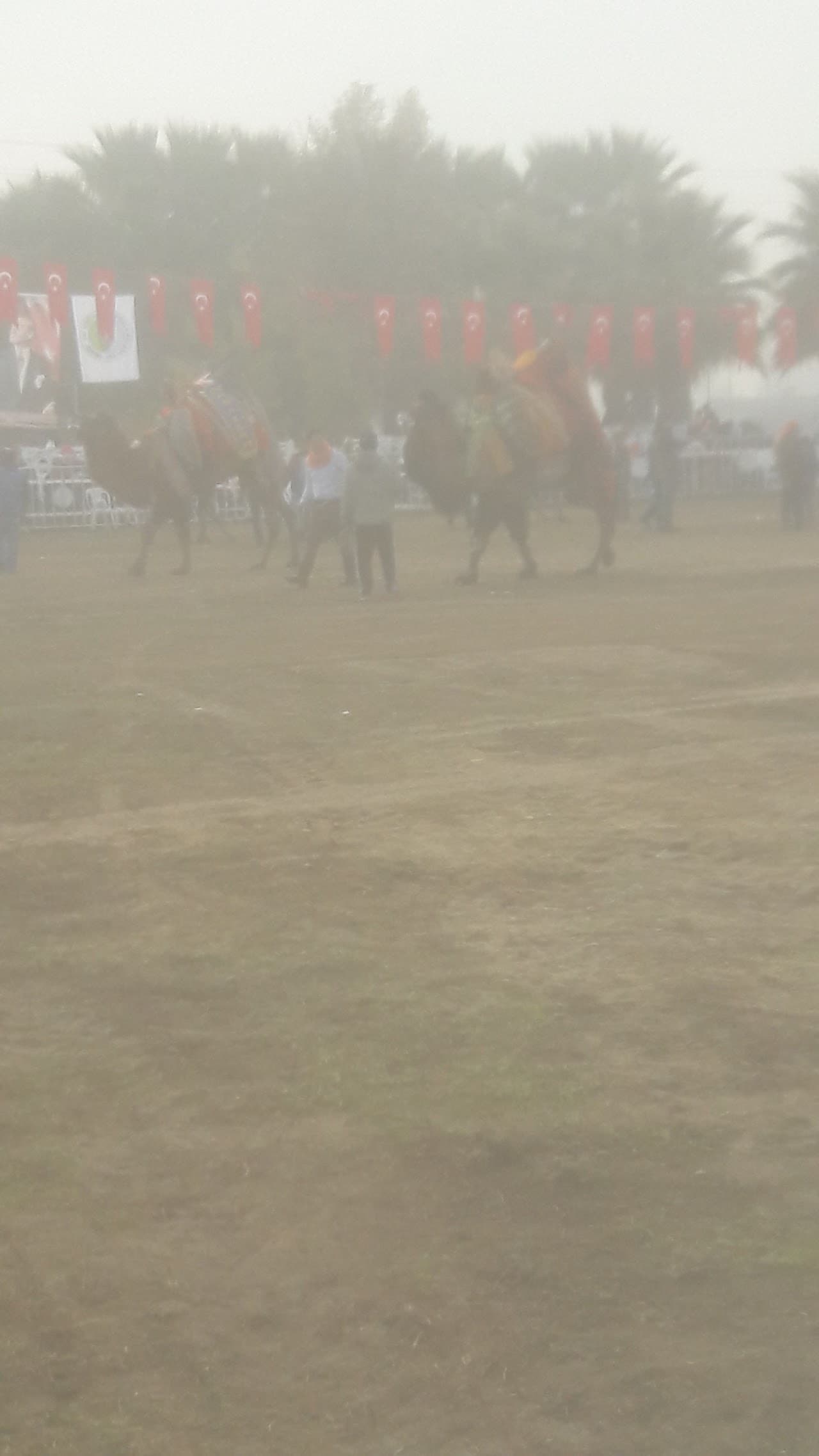 Halı Saha (3)