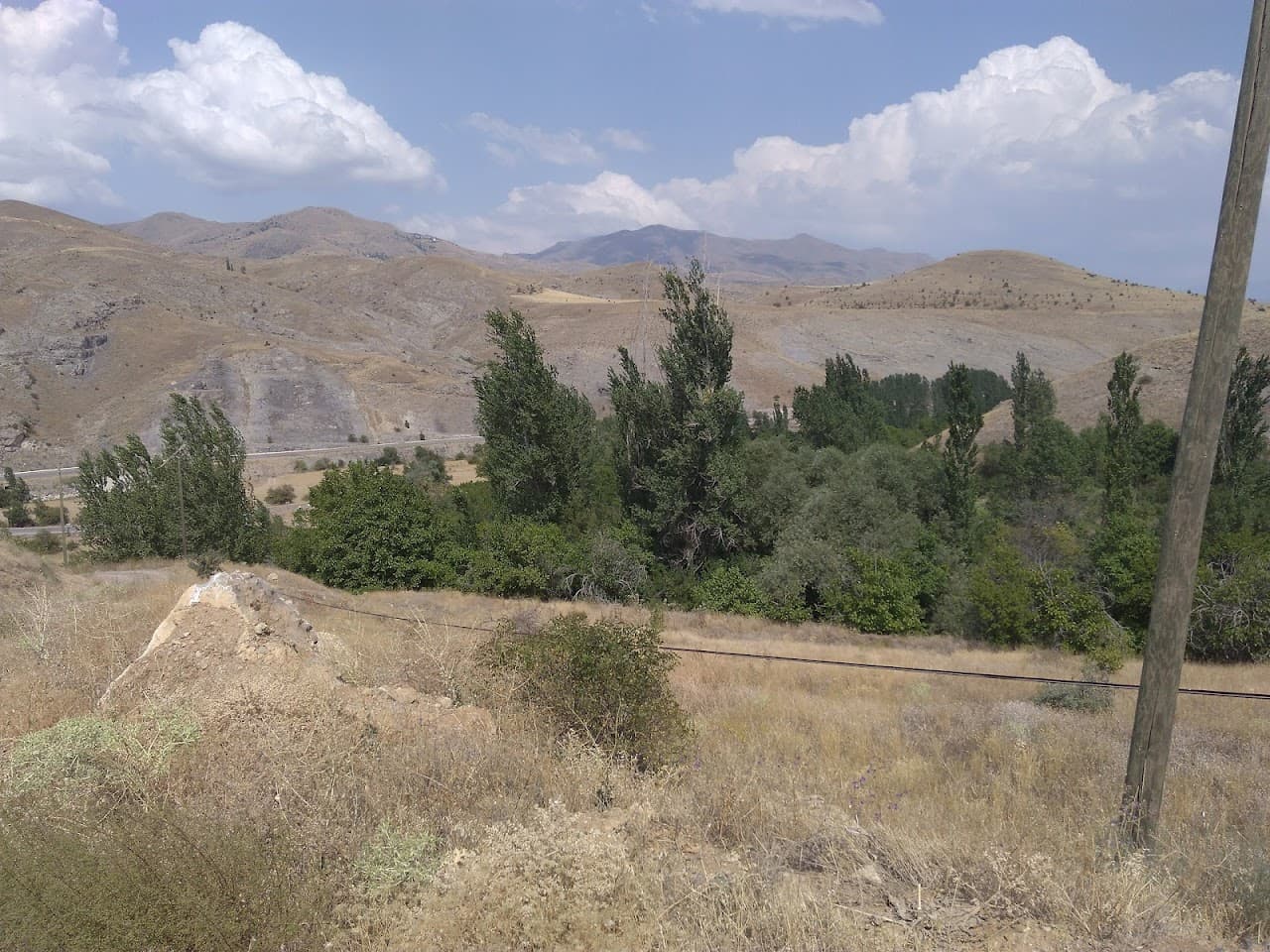 Pazaryolu Belediyesi