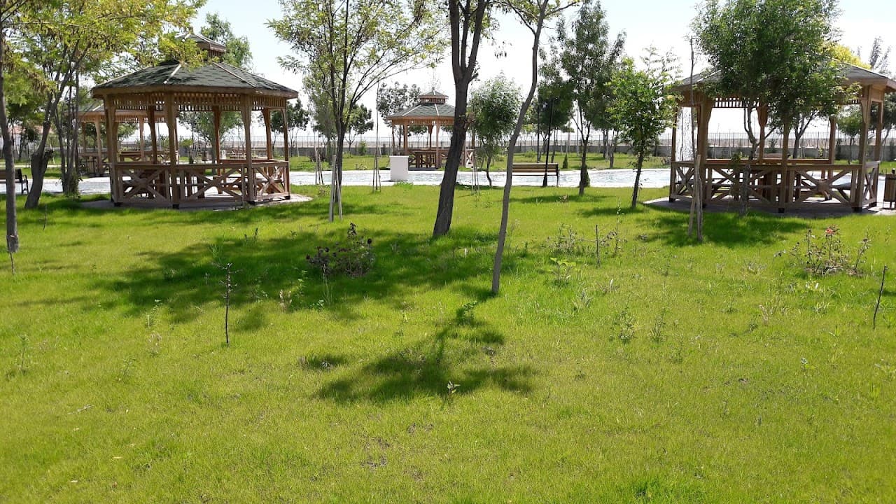 Halı Saha