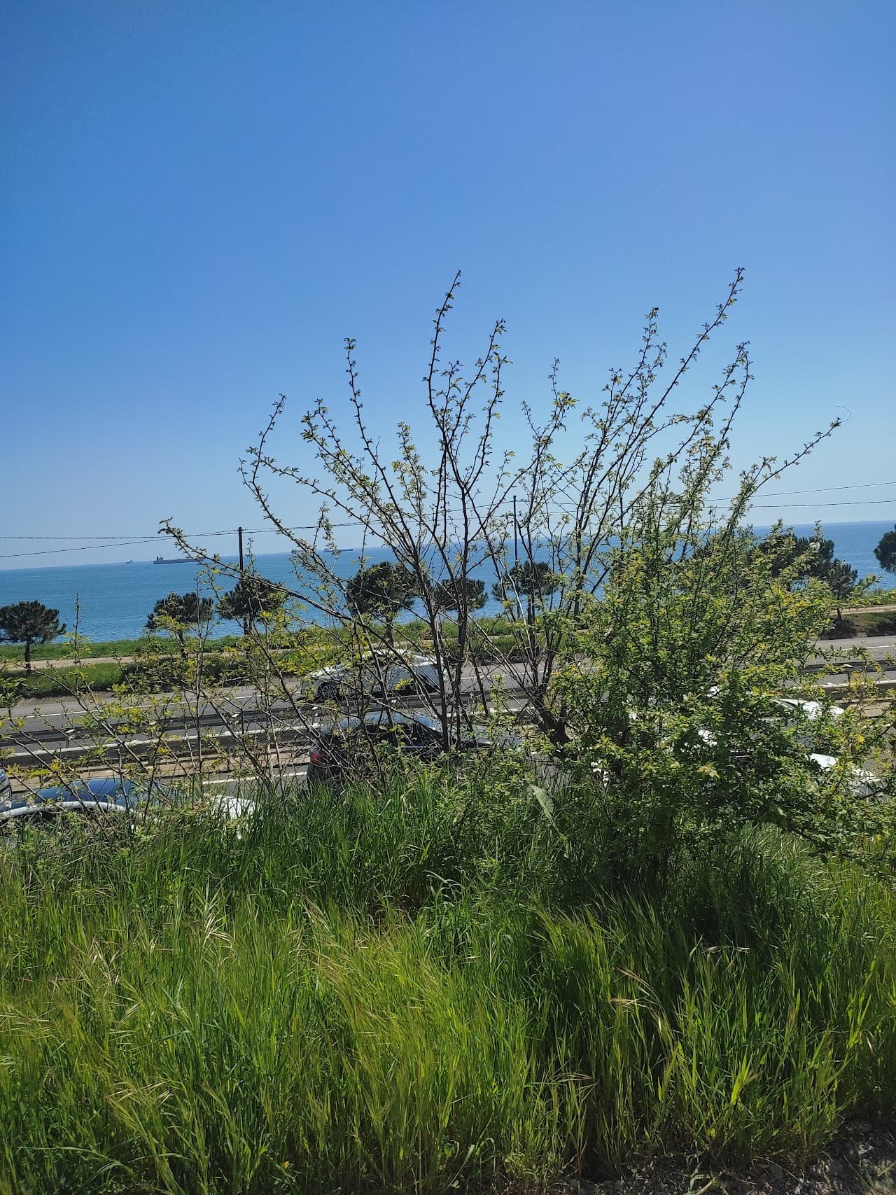 Halı Saha (2)