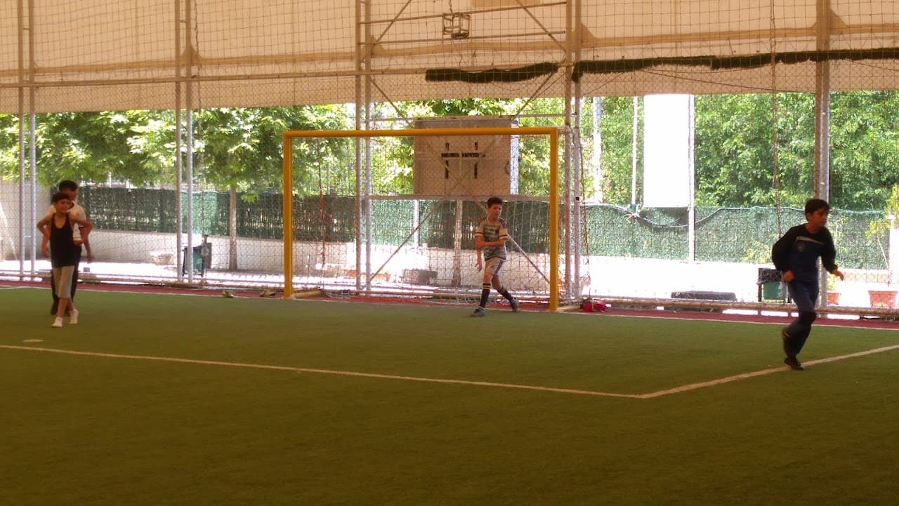 Yiğiter Hali Saha