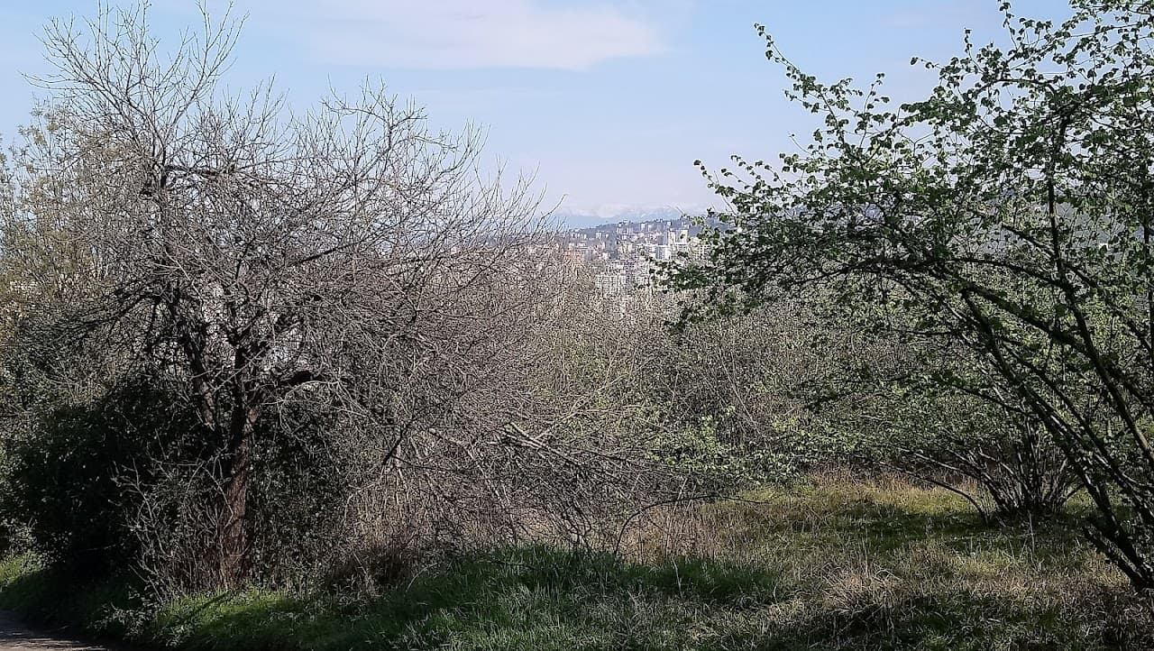 Değirmendere Halı Saha 4
