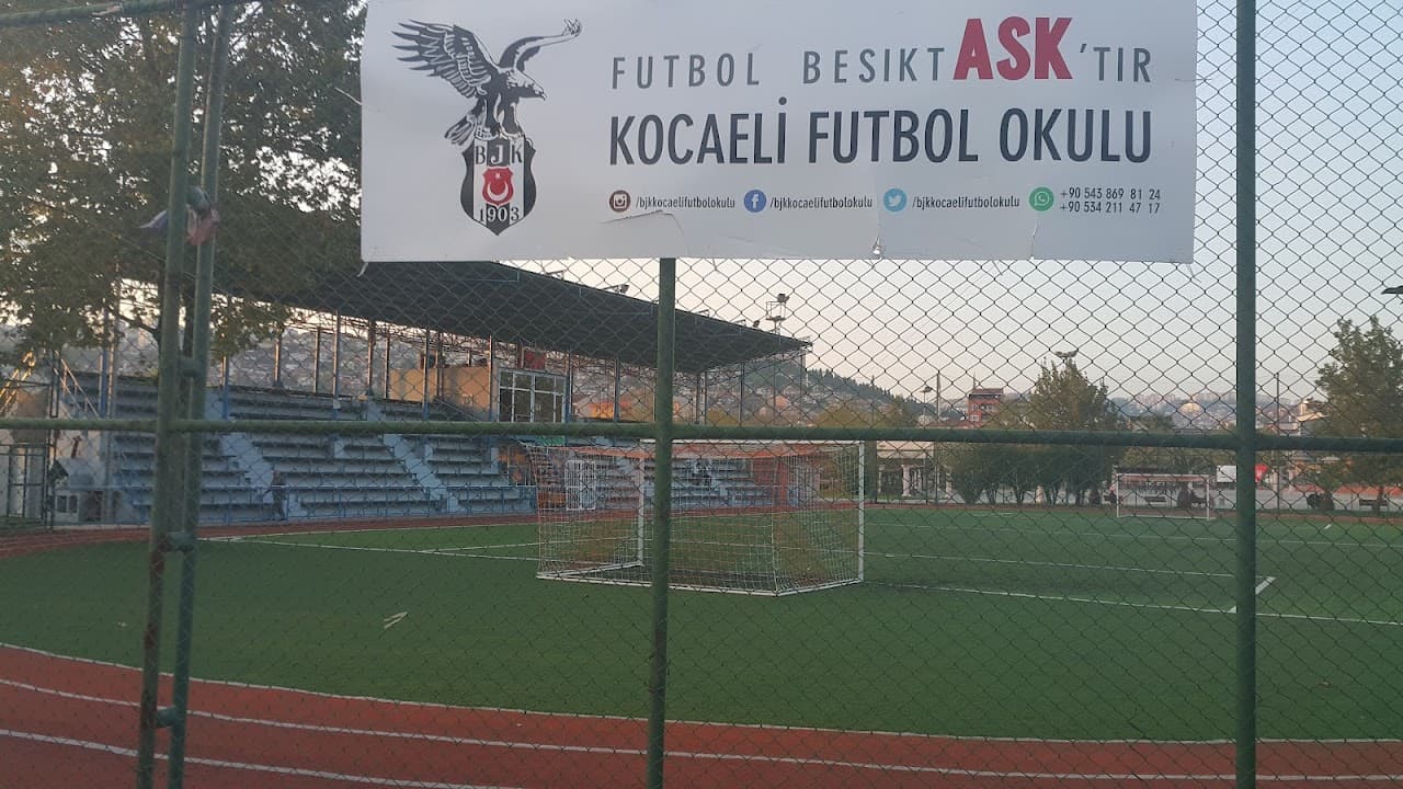 Çınar Çim Halı Saha 3