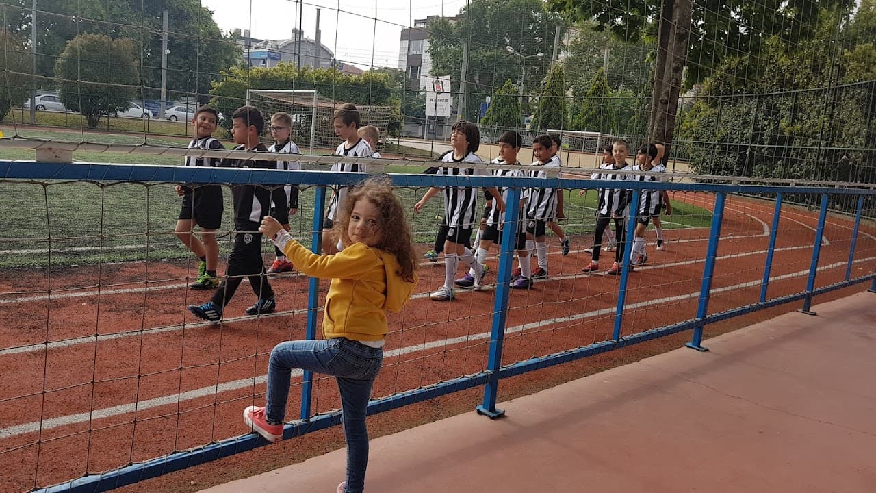 Çınar Çim Halı Saha 4