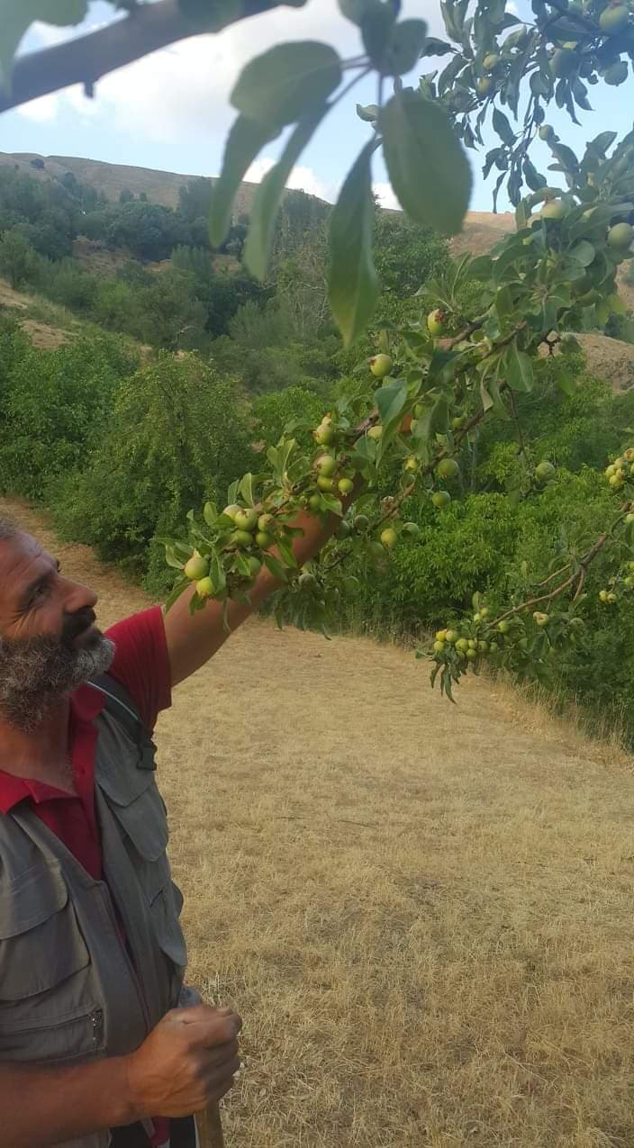 Halı Saha (5) 4