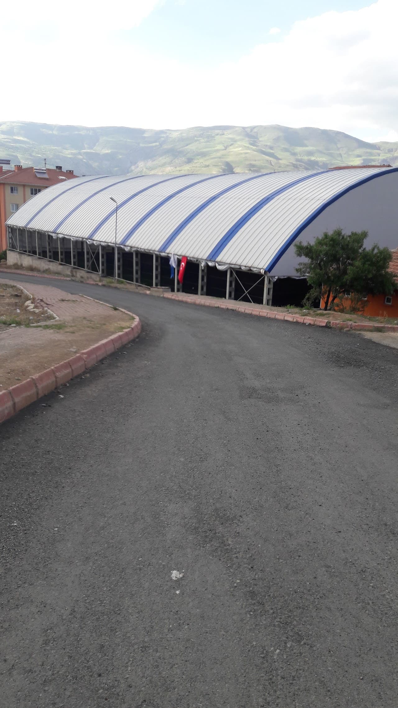 Süzgün Hali Saha