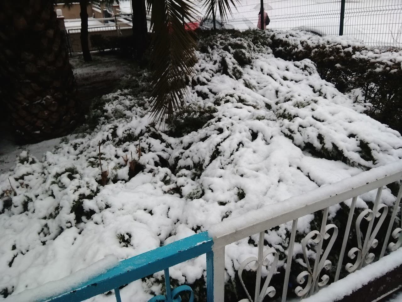 Atilla Spor Tesisleri 2