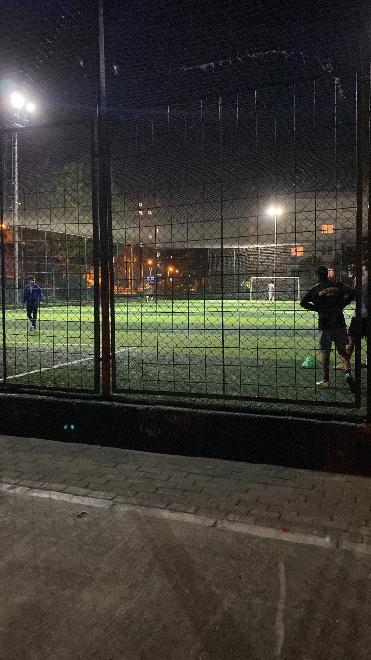 POSTACILAR HALI SAHA