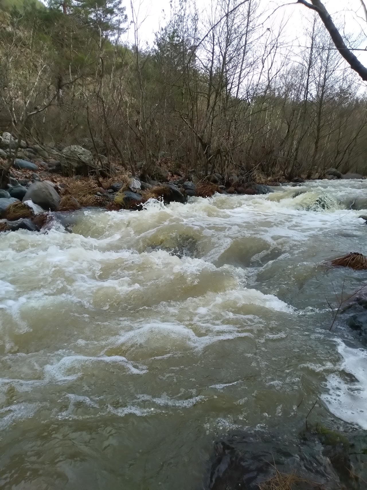 Halı Saha (7)