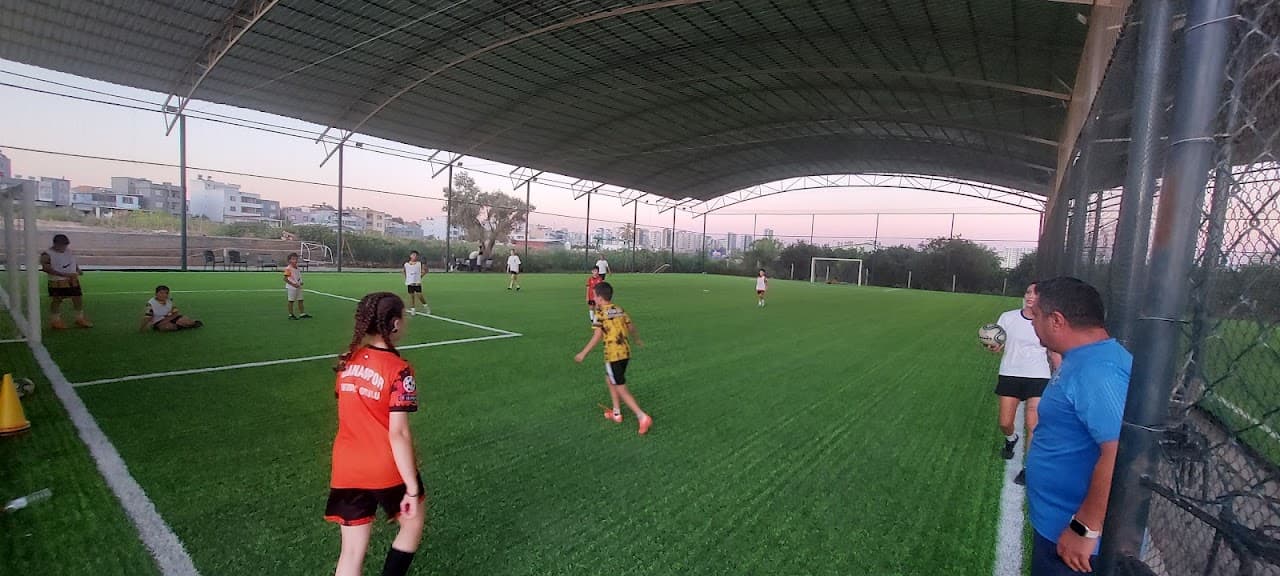 Real arena halısaha