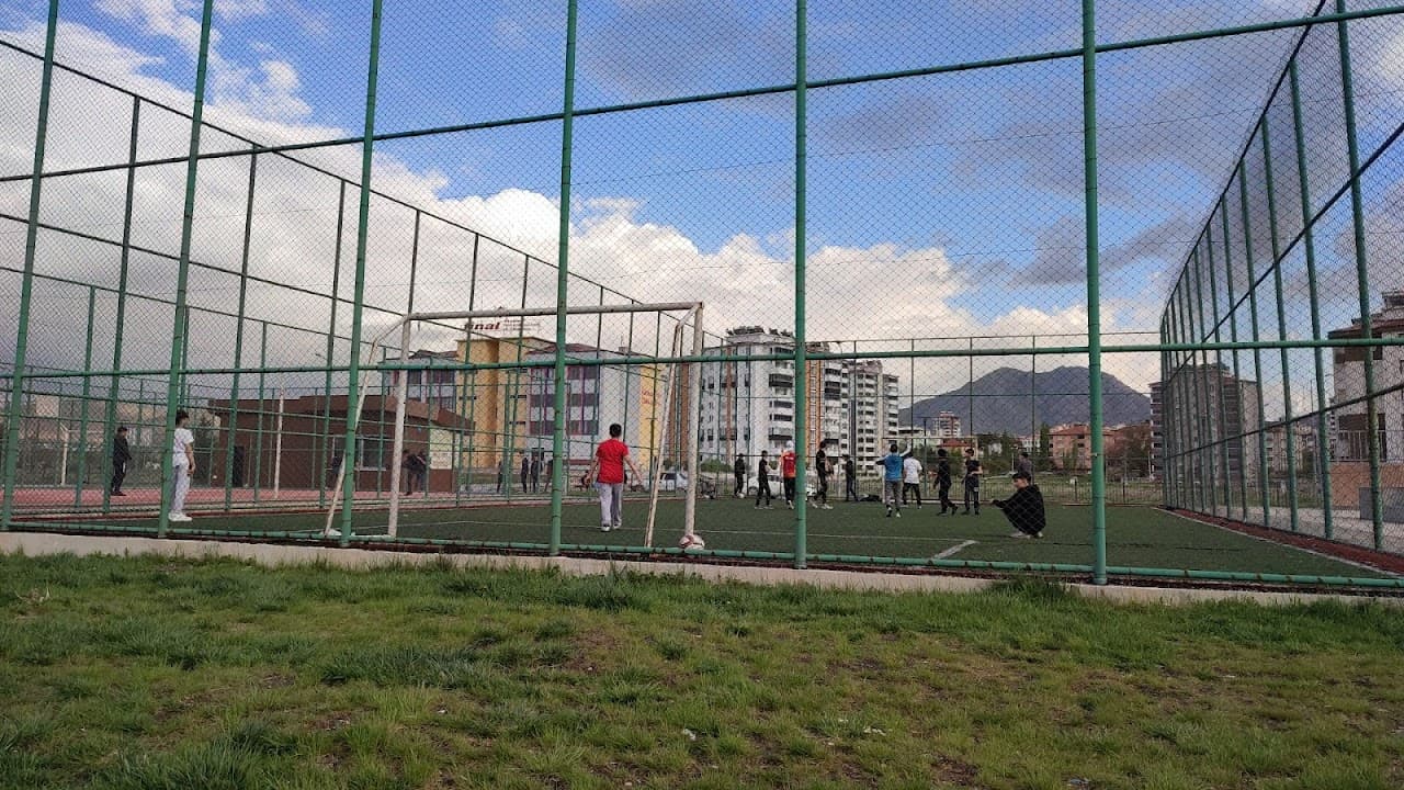 HALI SAHA
