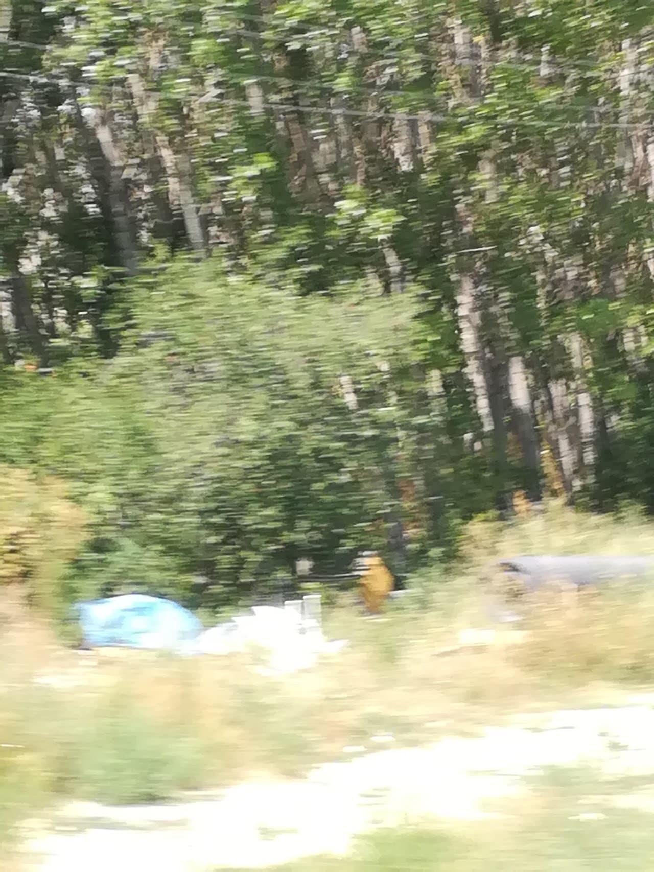 Maraton Hali Saha Tesisi Çavuşun Yeri 5