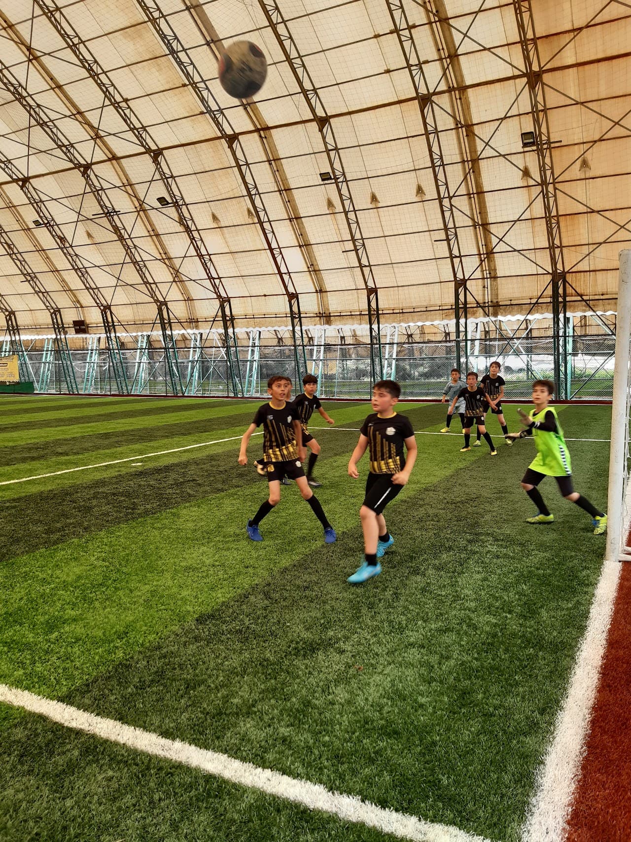 PLAYDROME HALI SAHALARI 3