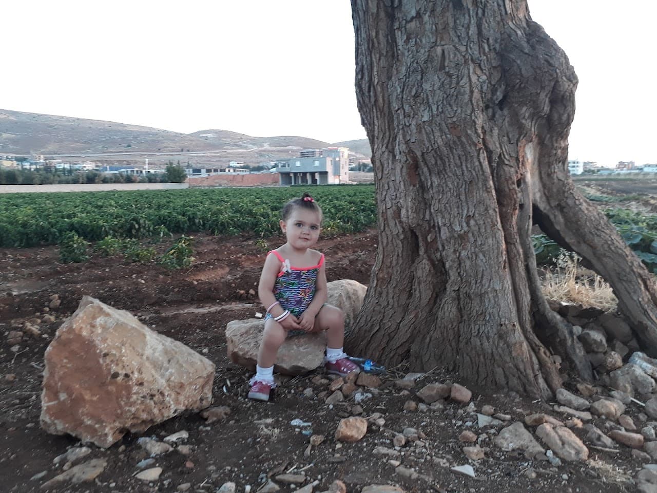 Reyhanlı Zirve Halı Saha 5