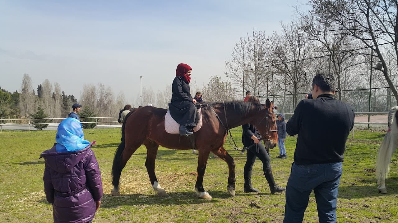 Halı Saha (6) 2