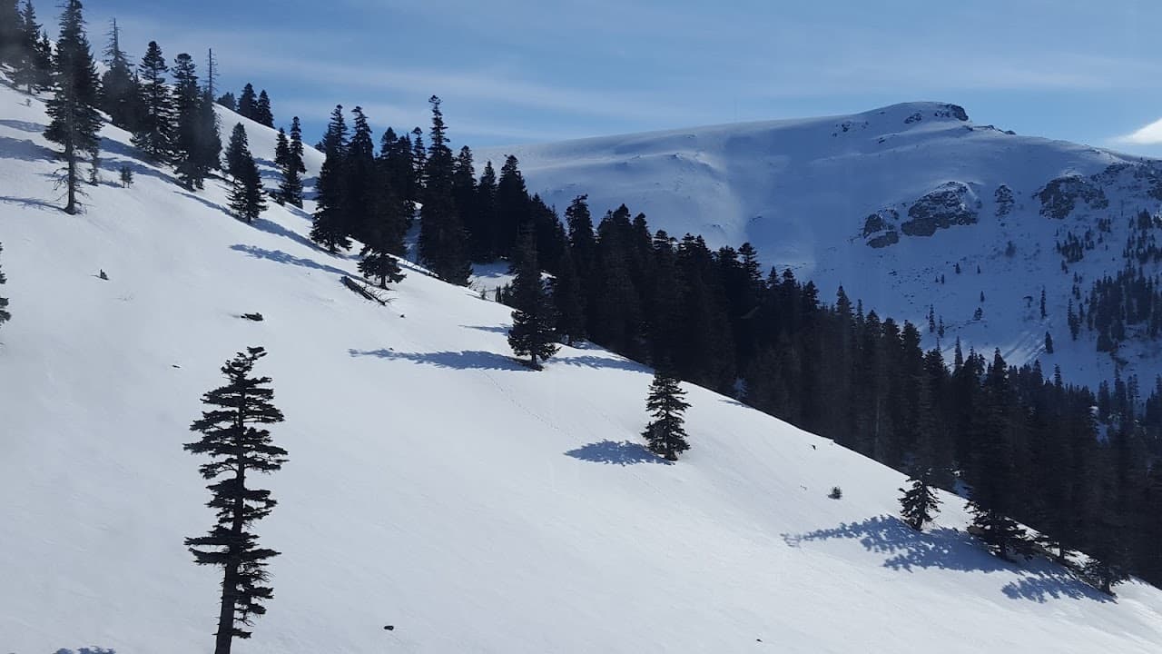 Halı Saha