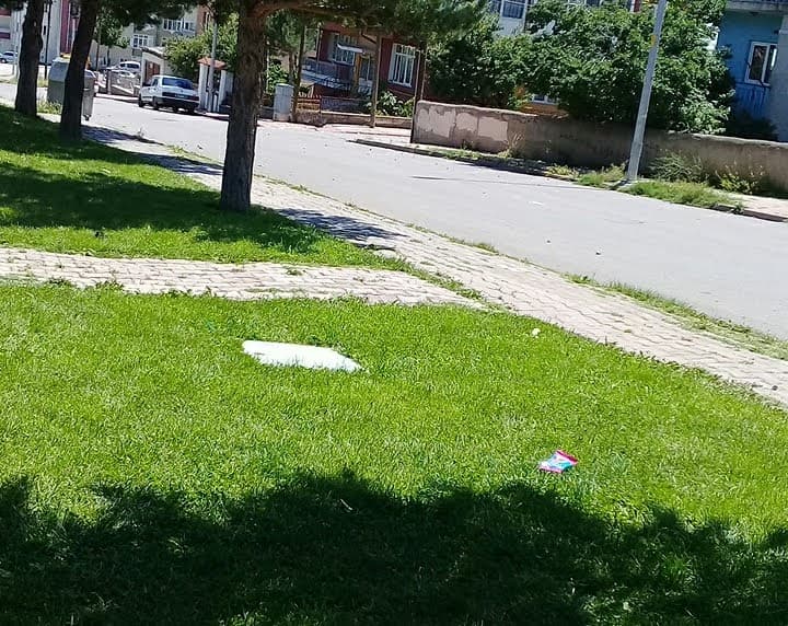 Çim Saha 2