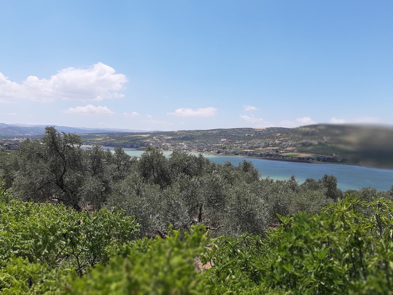 Narlıca Mah. Halı Saha 4