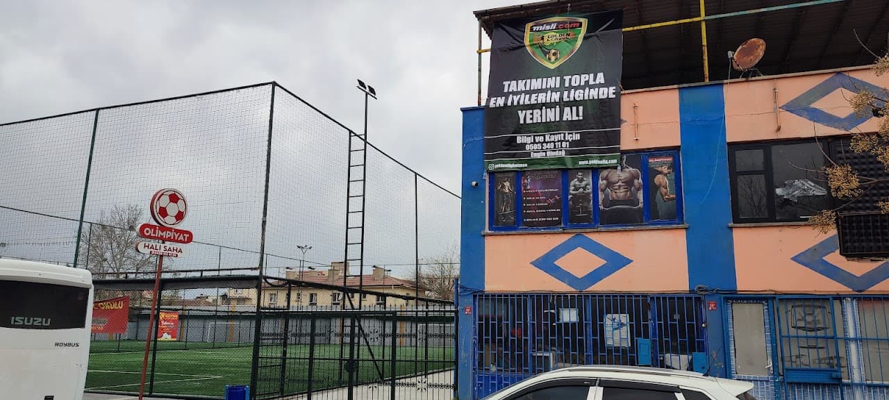 Olimpiyat Halısaha