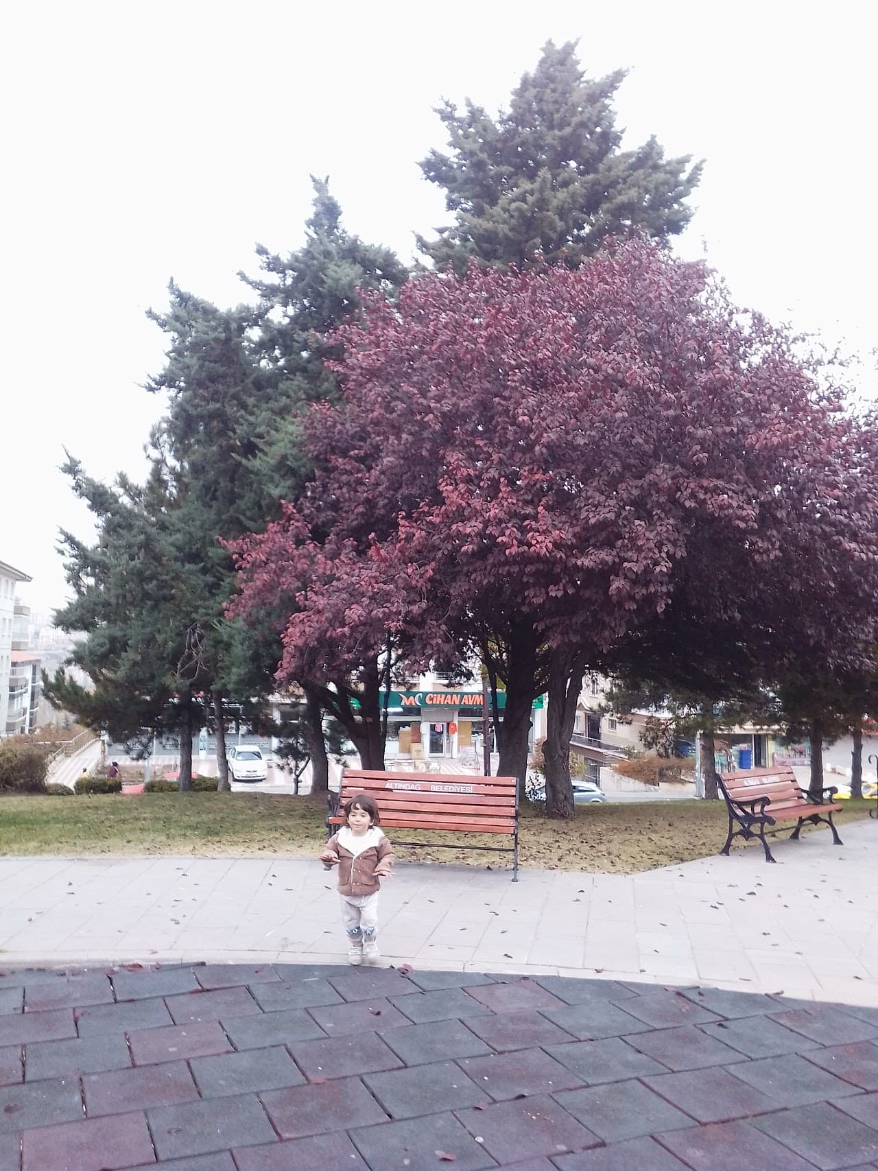 Gülpınar Spor Tesisleri 2