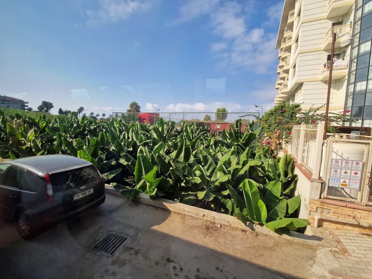Arena Halısaha
