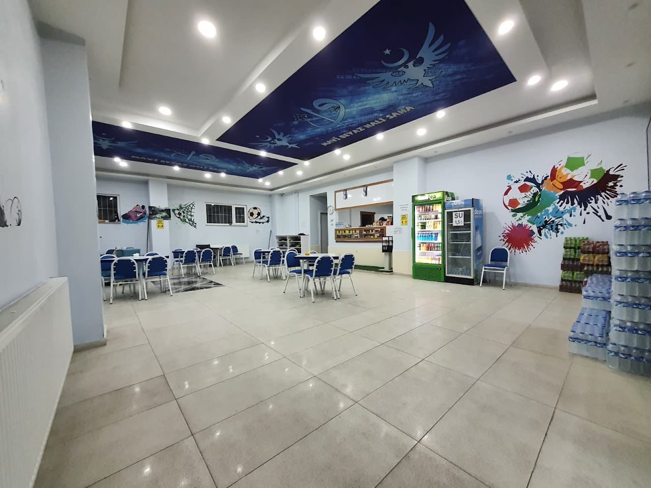 Mavi Beyaz Halı Saha 2