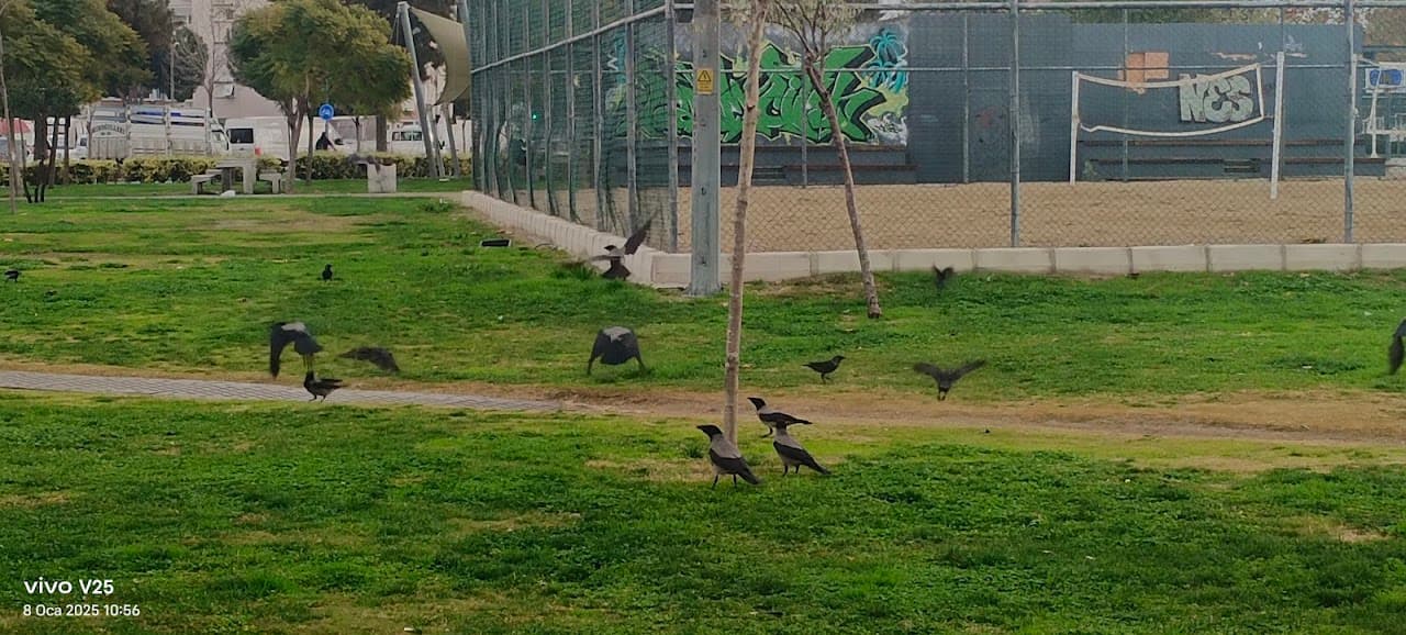 Spor Sahası