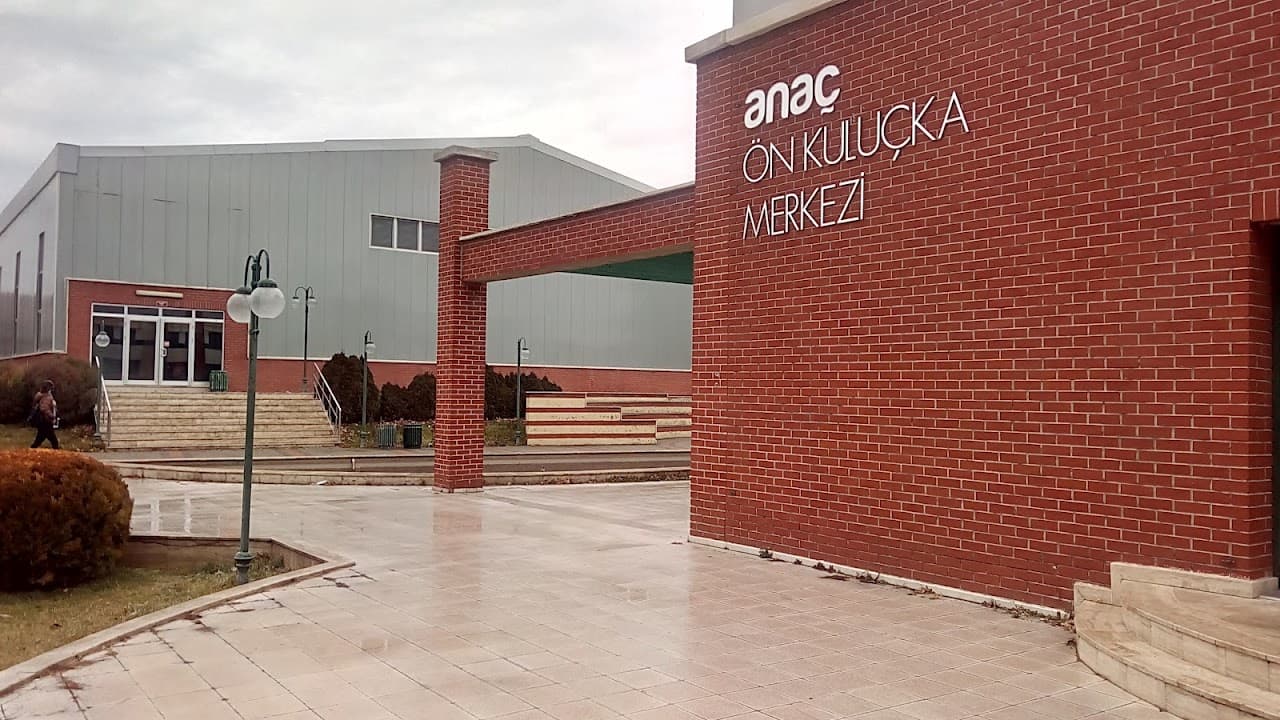 Anadolu Üniversitesi Spor Tesisleri 3